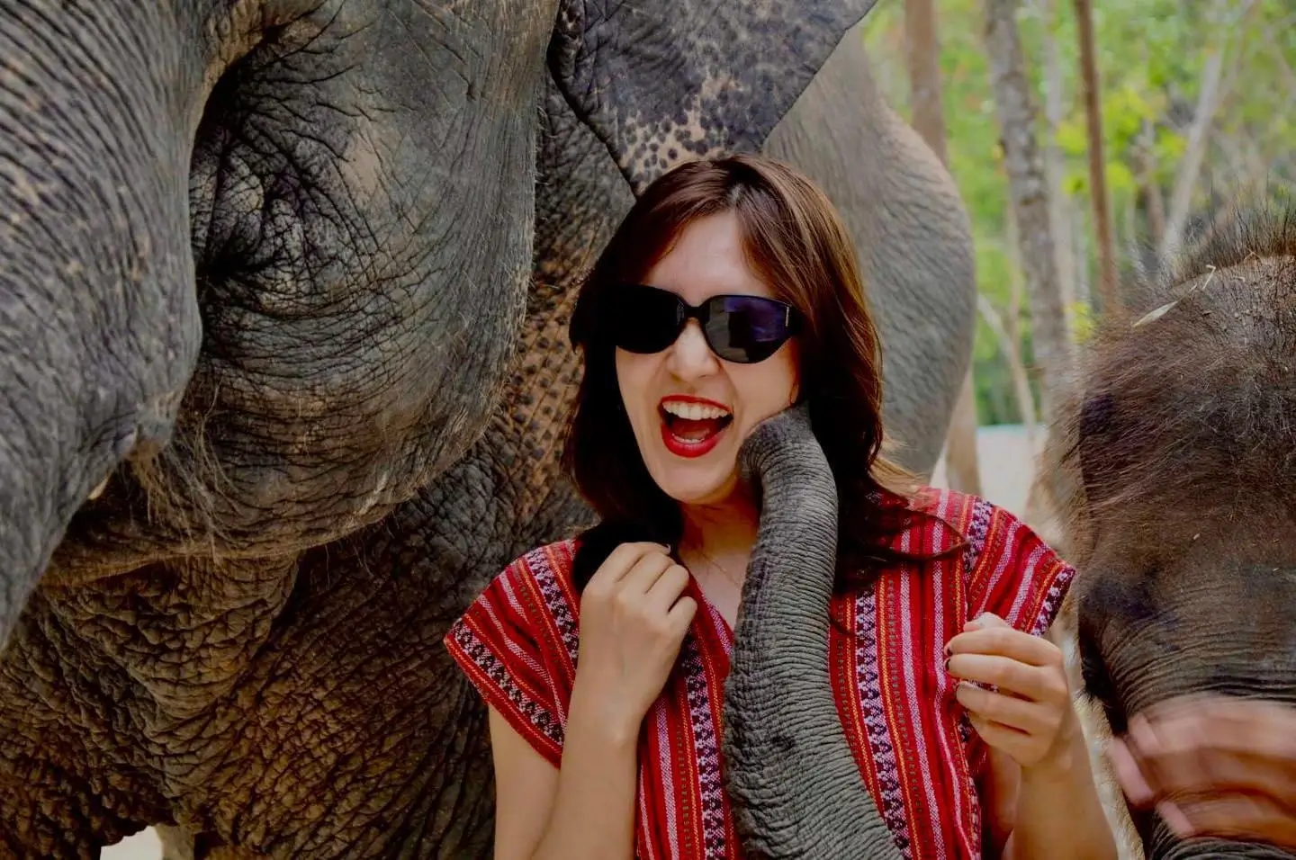 Заповедник со слонами на Пхукете 4