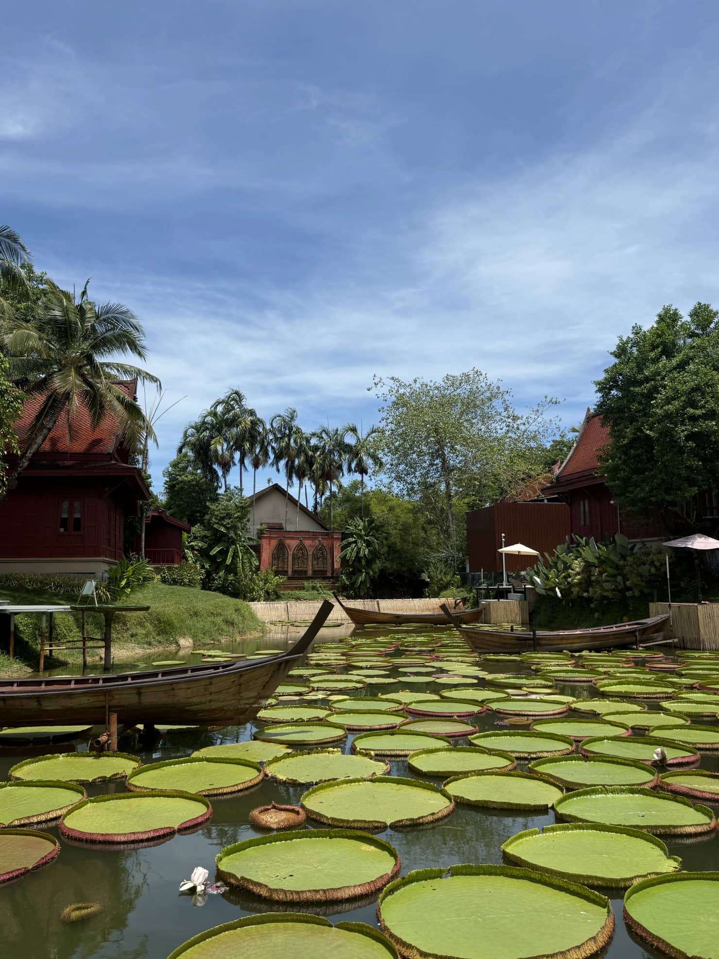 Экскурсия Мир Аватара 4