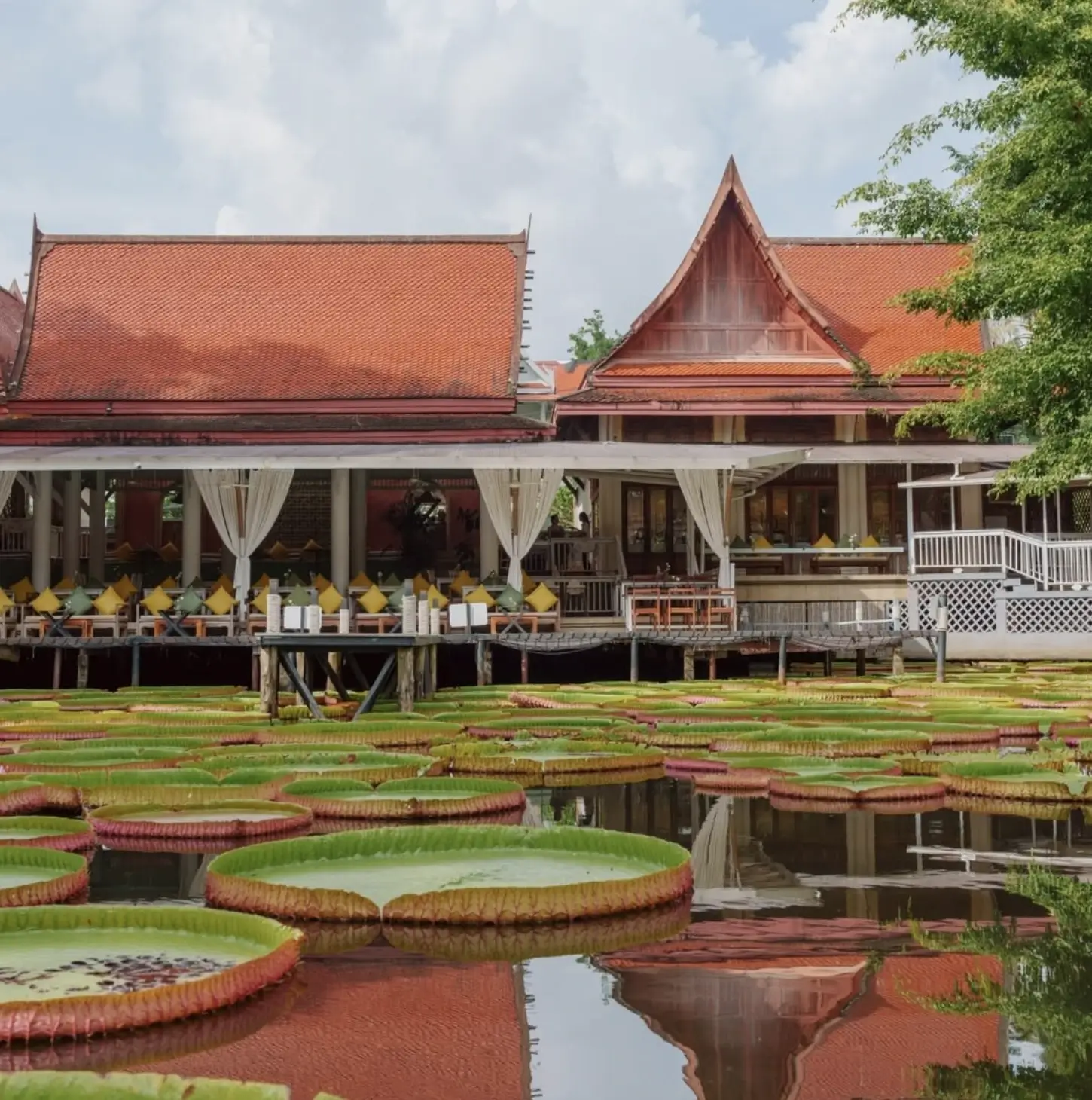 Огни Рассвета: Тайны Аватара 4