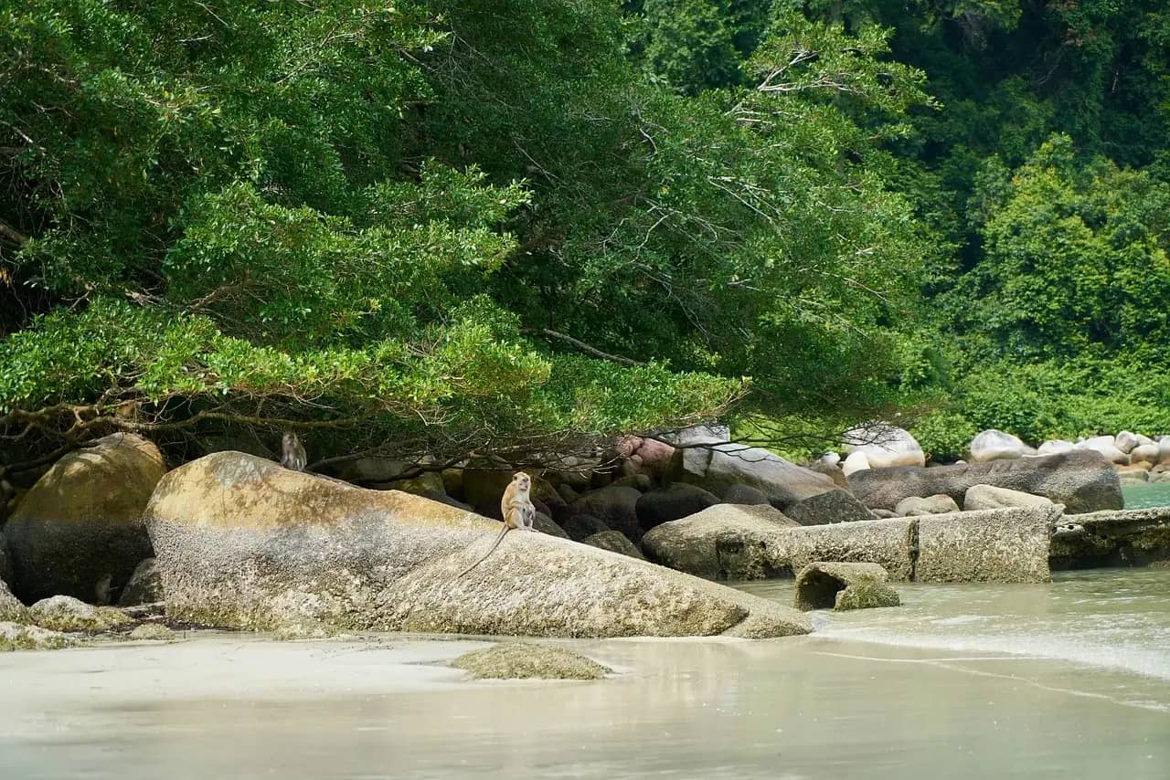 Экскурсии 12 островов и 4 Жемчужины Андамана 2