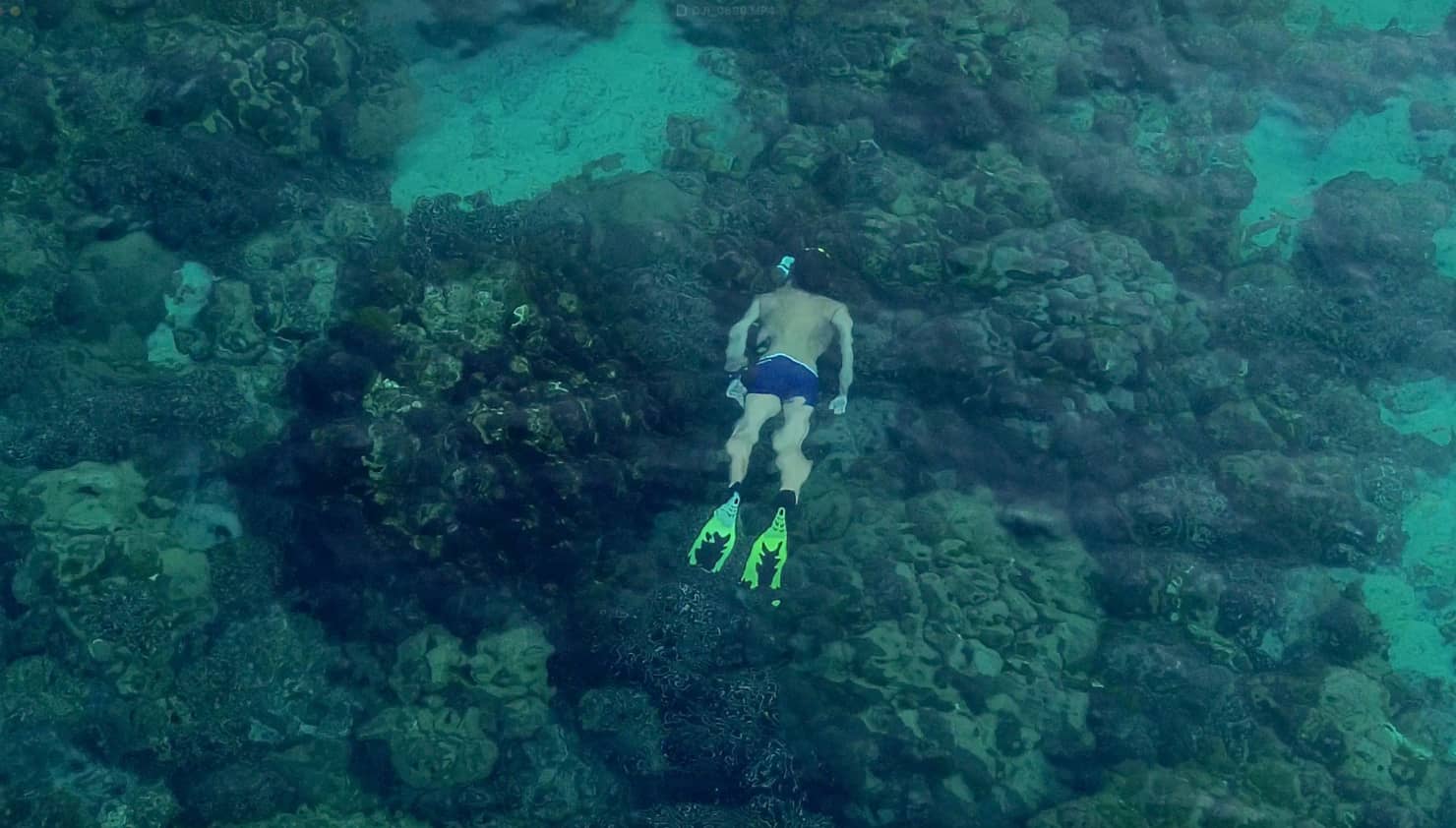 Экскурсии на острова Корал и Рача 4