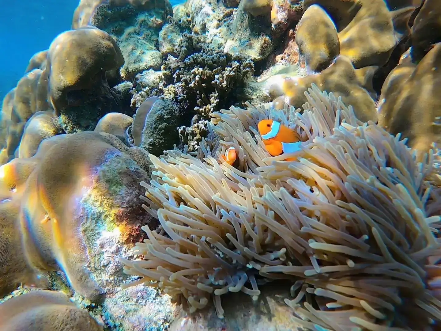 Экскурсия на Ко Рок на 2 дня 2