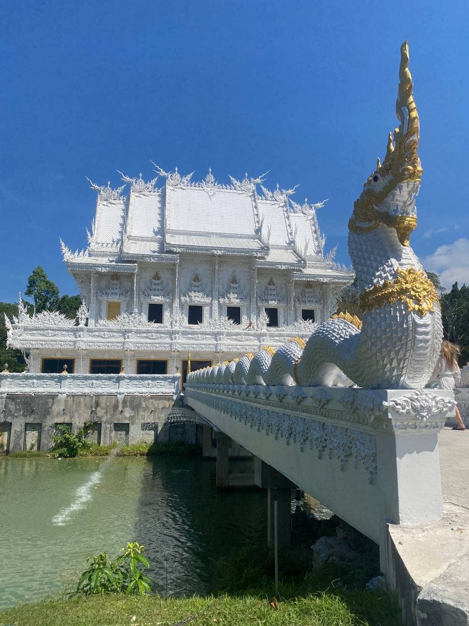 Экскурсия Сияние планктона 4