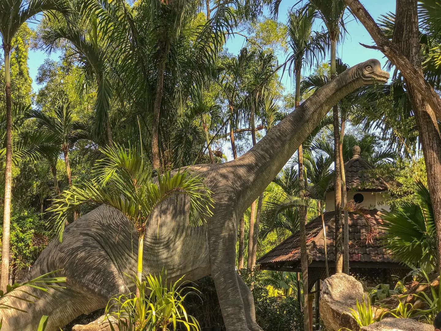 dinosaur