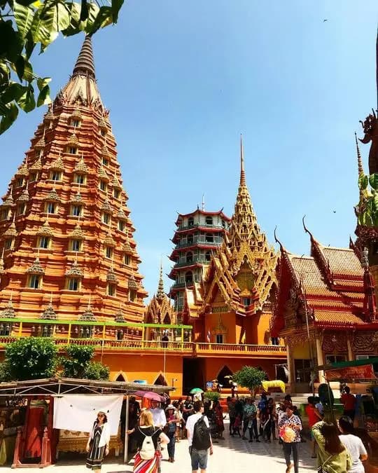 tiger temple