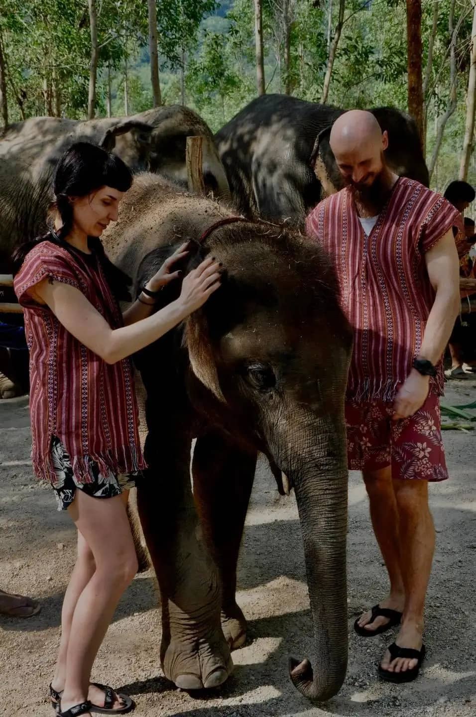 Заповедник со слонами на Пхукете 3 Заповедник со слонами на Пхукете 3