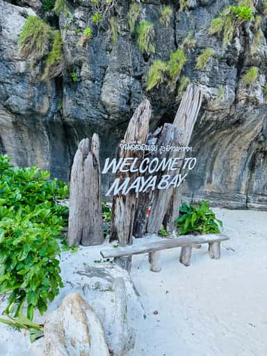 IMG_0699.jpeg IMG_0699.jpeg