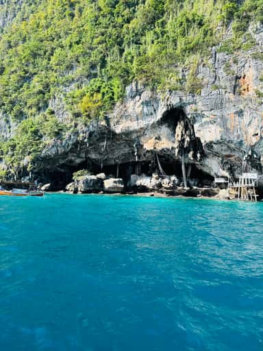 IMG_0743.jpeg IMG_0743.jpeg