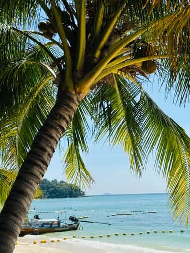 IMG_0822.jpeg IMG_0822.jpeg