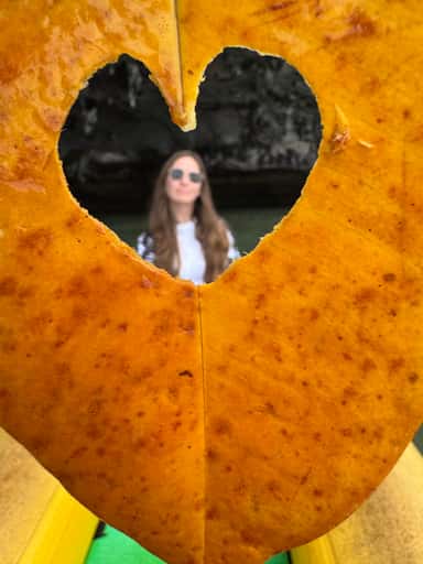 IMG_3761.jpeg IMG_3761.jpeg