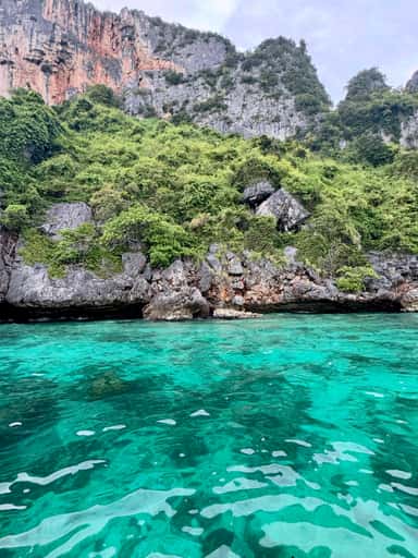 IMG_4024.jpeg IMG_4024.jpeg