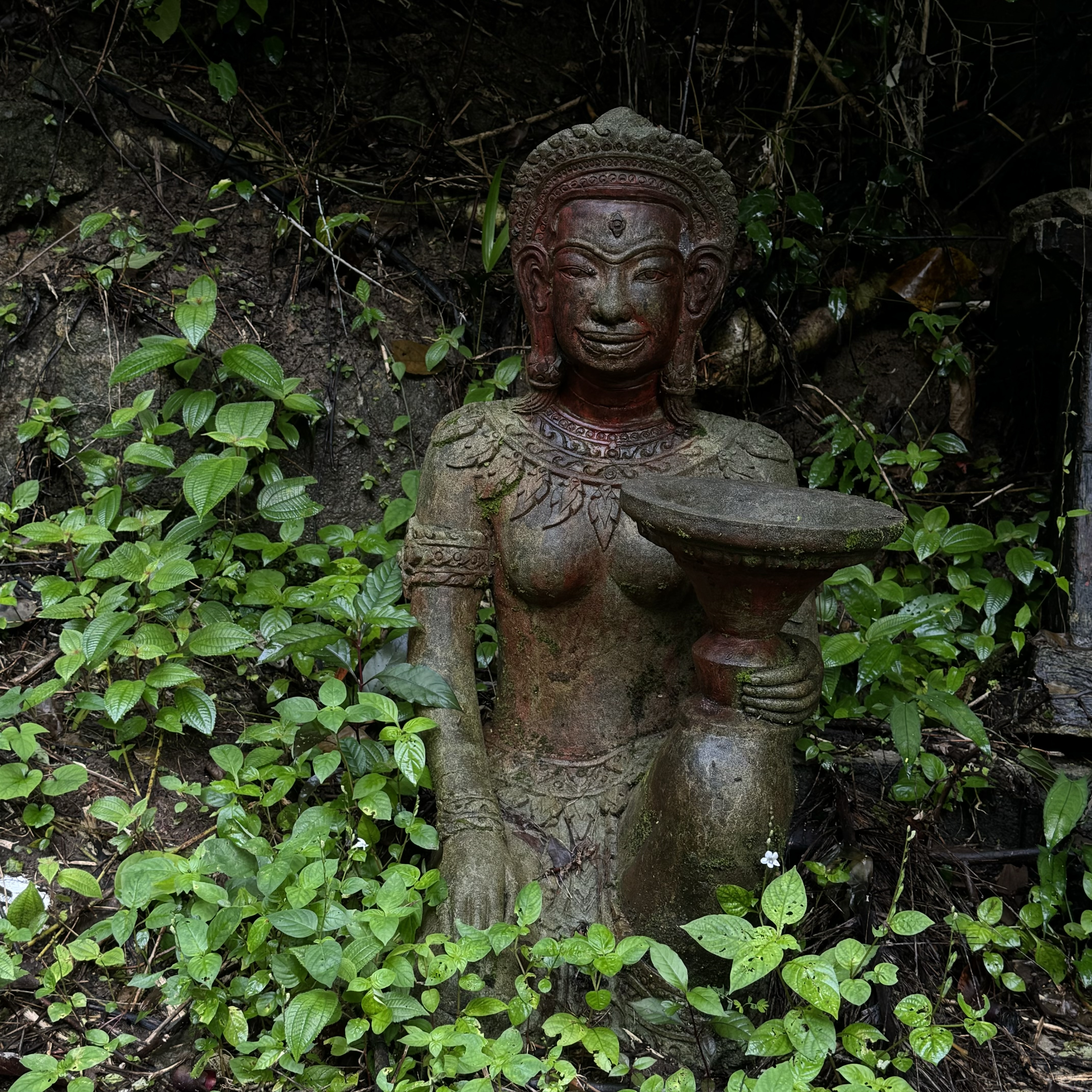 IMG_9250.jpeg IMG_9250.jpeg