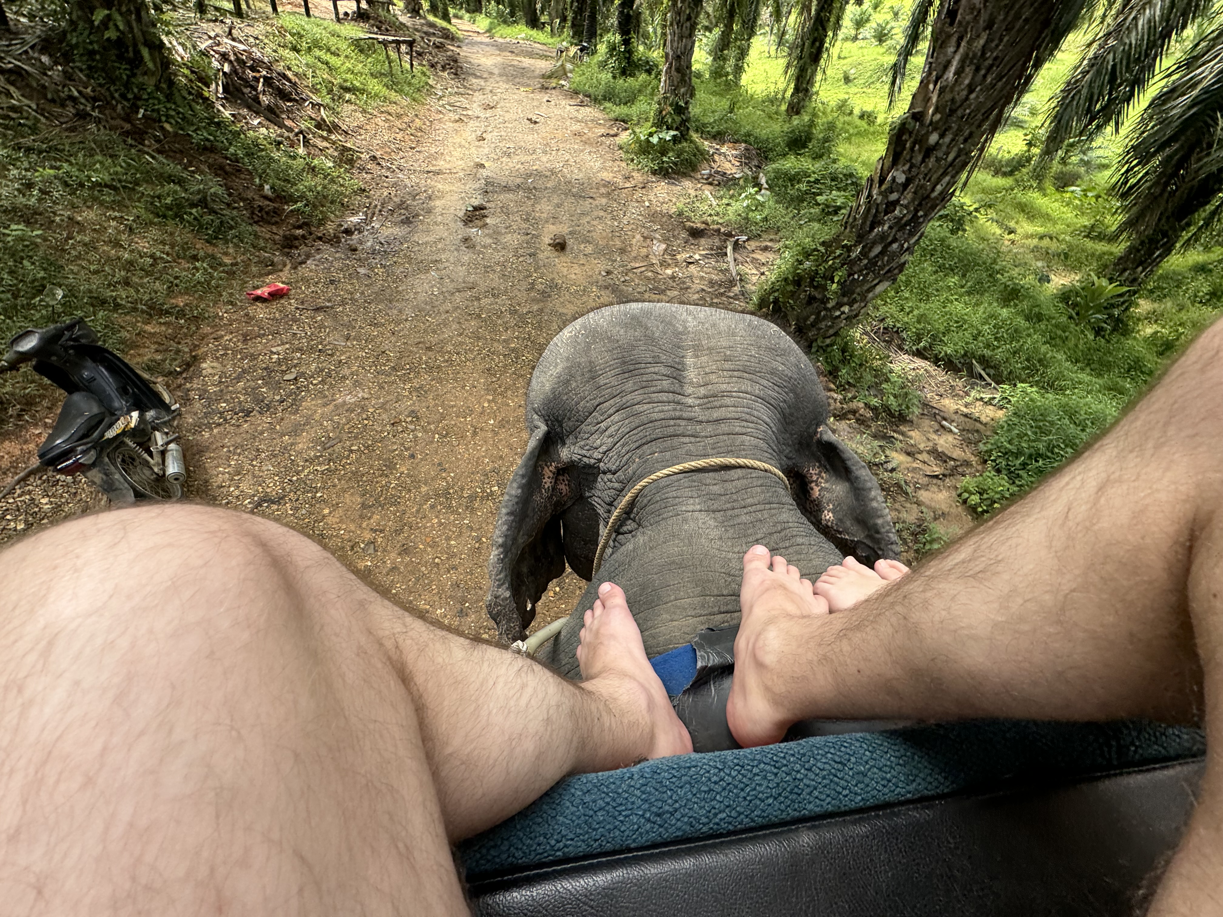 IMG_9267.jpeg IMG_9267.jpeg