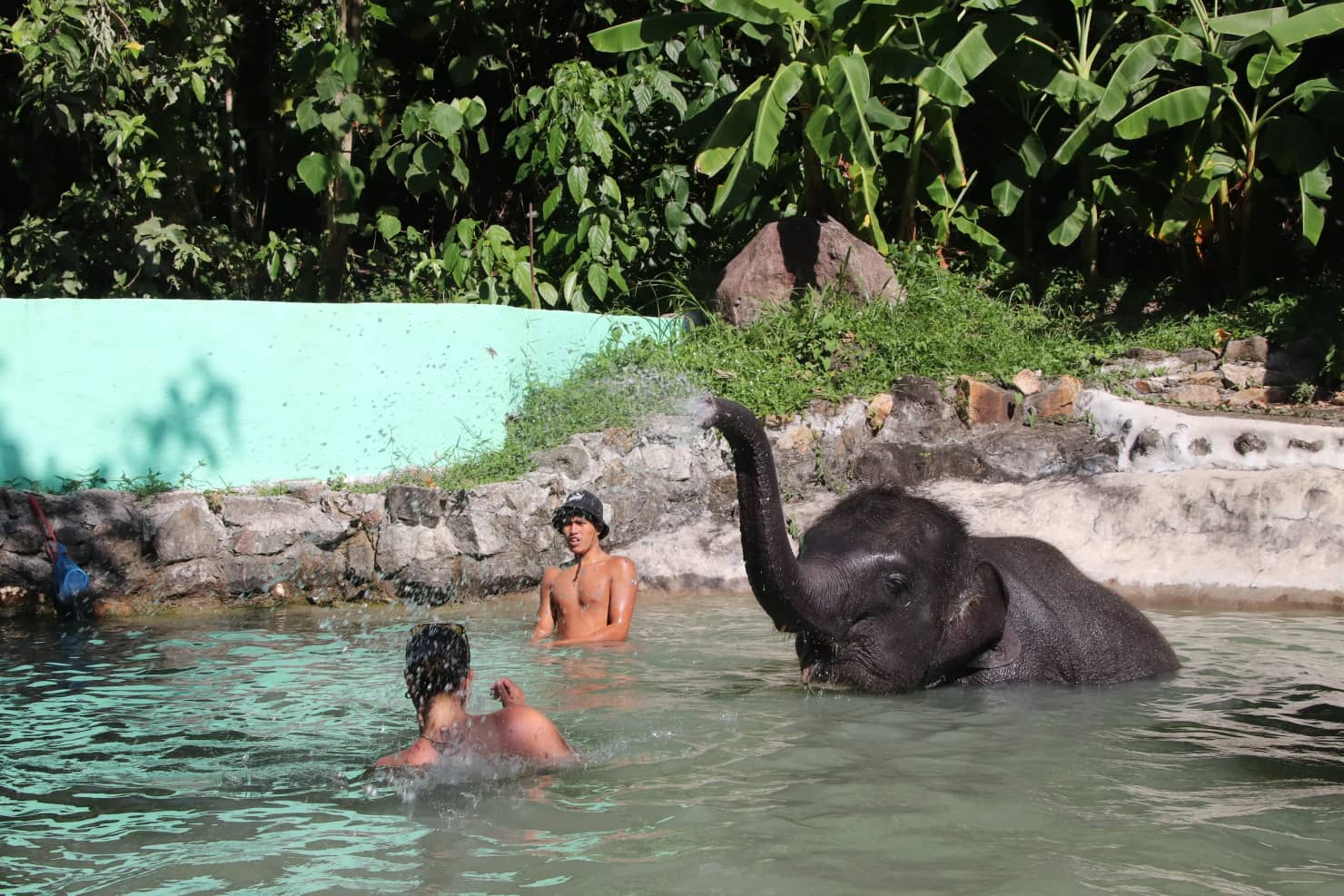 Катание на слонах на Пхукете 1 Катание на слонах на Пхукете 1