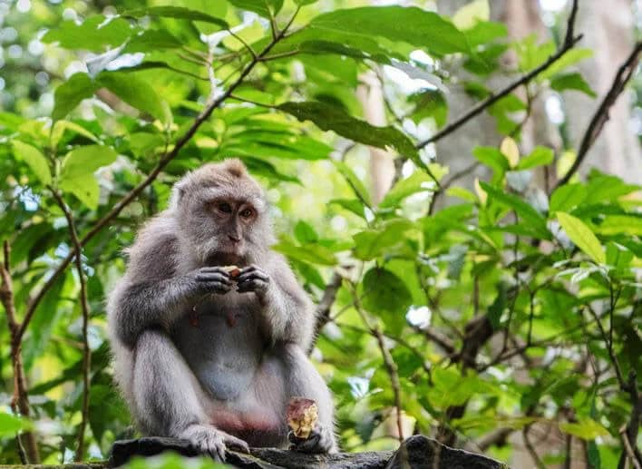 Экскурсия на Као Лак 2 Экскурсия на Као Лак 2