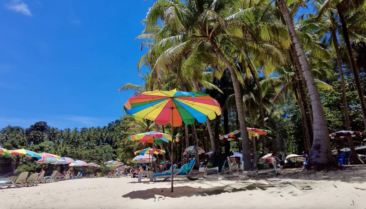 Экскурсии на острова Корал и Рача 2 Экскурсии на острова Корал и Рача 2